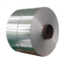 ASME SA240 स्टेनलेस स्टील 420 कोल्ड रोल कॉइल