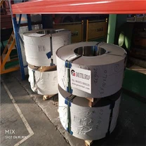 स्टेनलेस कॉइल 310